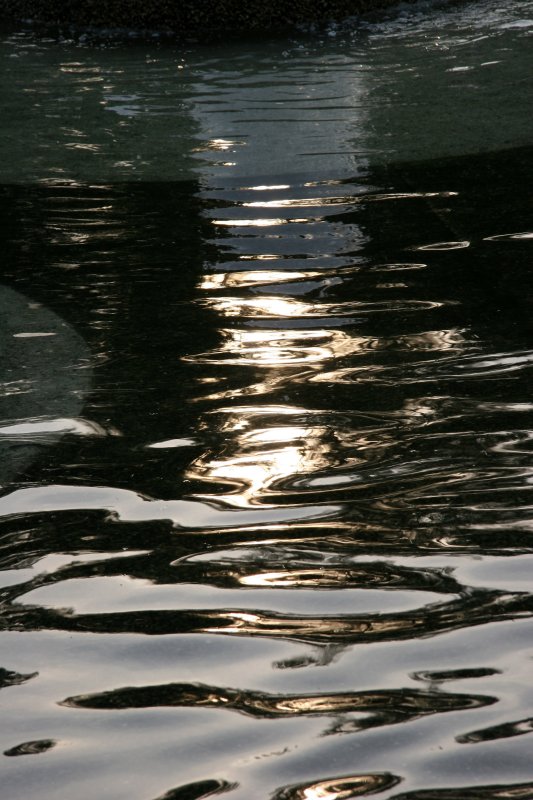Fountain Pool Reflections