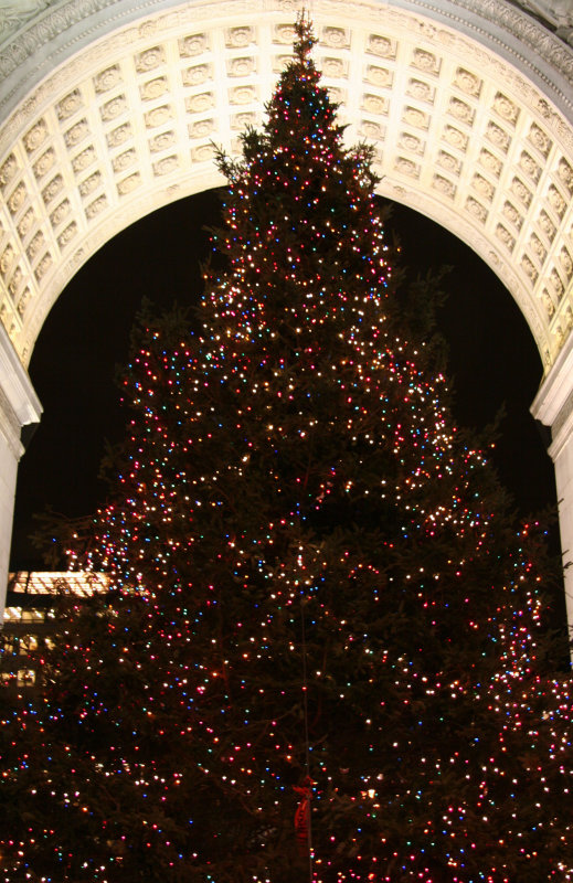 Christmas Tree at the Arch