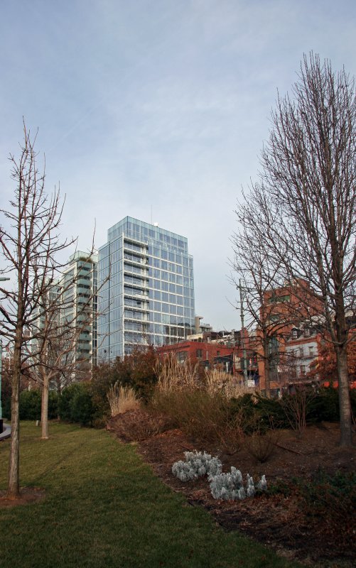 Garden View with Northeastern Skyline
