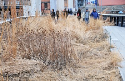 Winter 2011