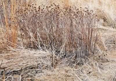 Winter 2011