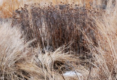 Winter 2011