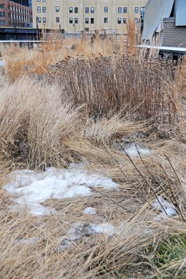 Winter 2011