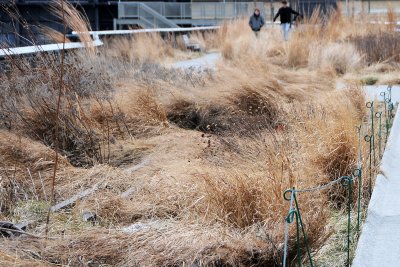 Winter 2011