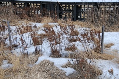 Winter 2011