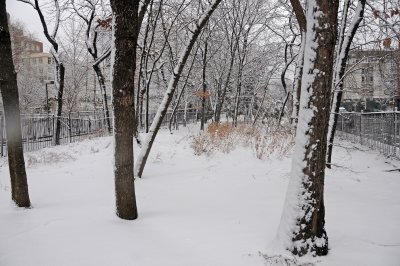 Snow Day - Time Landscape Garden
