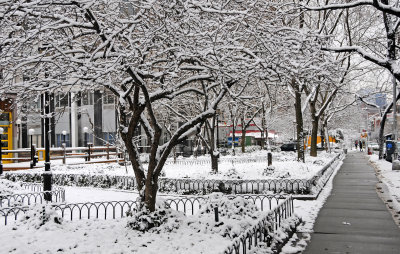 Snow Day - LaGuardia Place Garden