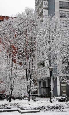 Snow Day - LaGuardia Place Garden