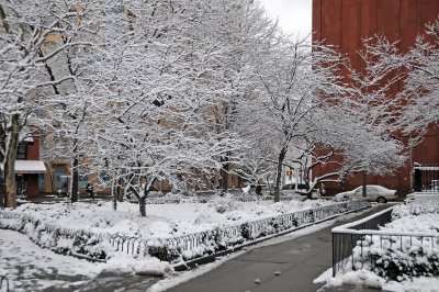 Snow Day - LaGuardia Place Garden