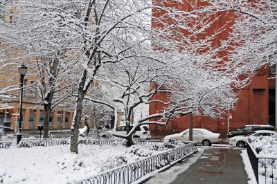 Snow Day - LaGuardia Place Garden