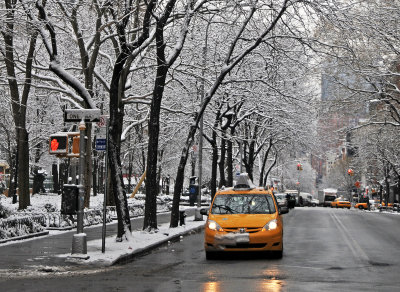 Snow Day - LaGuardia Place Garden