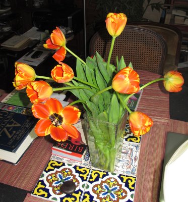 Tulip Bouquet Gift