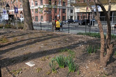 Gardens in Renovated Park