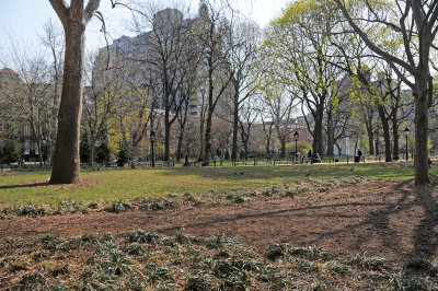 Gardens in Renovated Park