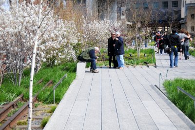 Spring 2012 Highline