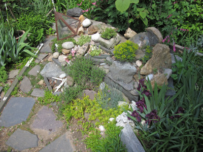 Rock Garden