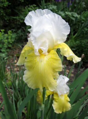 IMG_5287.JPG