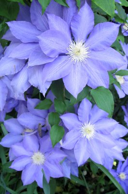 IMG_5380.JPG