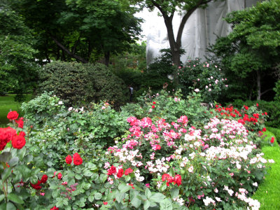 IMG_5465.JPG