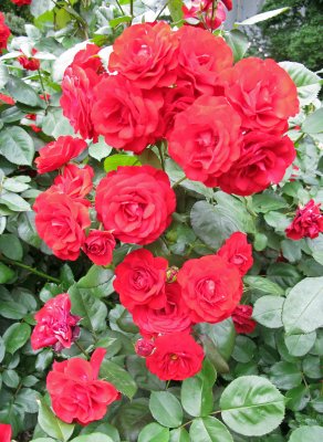 IMG_5467.JPG