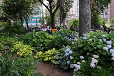 DSC_9199.JPG