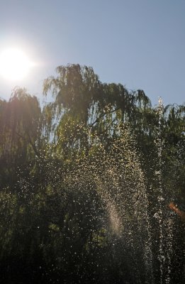 DSC_9993.JPG