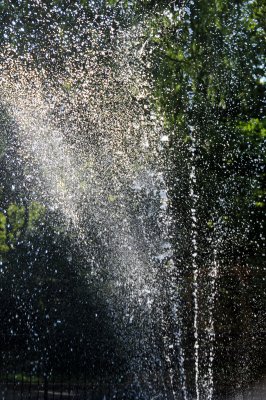 DSC_9996.JPG