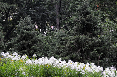 DSC_0406.JPG