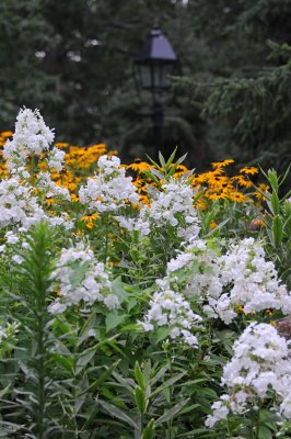 DSC_0409.JPG