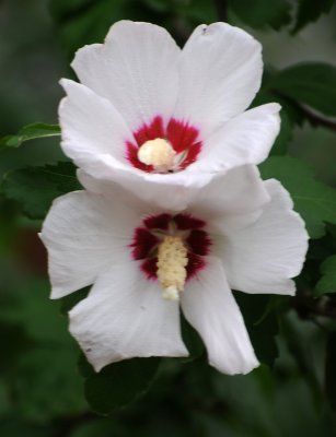 DSC_0413.JPG