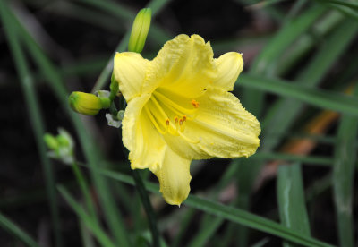 DSC_0436.JPG