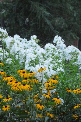 DSC_0576.JPG