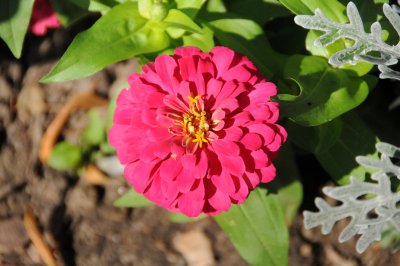 DSC_0596.JPG