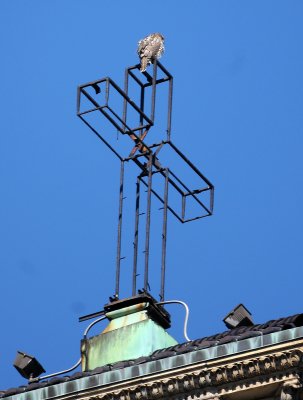 DSC_0624.JPG
