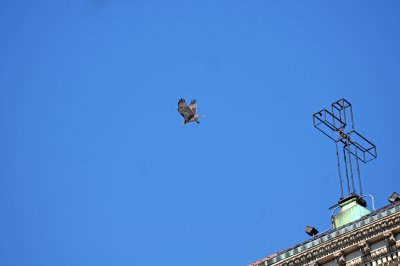 DSC_0626.JPG