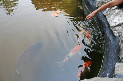 Mohonk Mountain House Resort