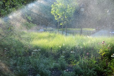 DSC_0791.JPG