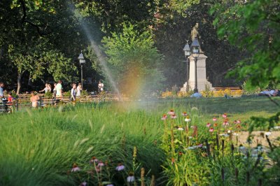 DSC_0792.JPG