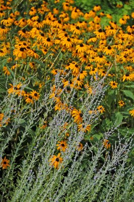 DSC_0856.JPG