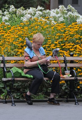 By a Flower Garden with the Company of Two Parrots