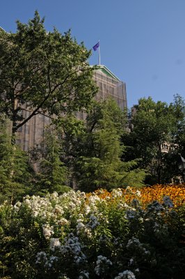 DSC_1113.JPG