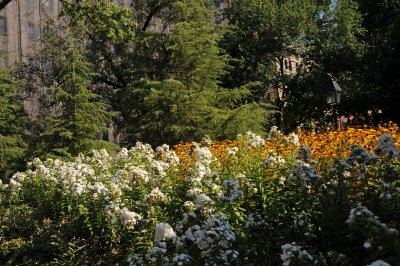 DSC_1114.JPG