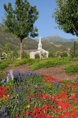 Mormon Church