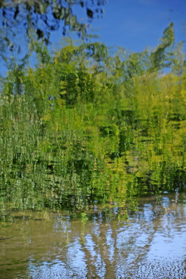 City Creek Park