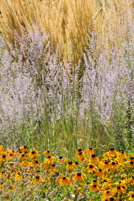 City & County Building Grounds