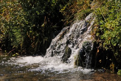 Cascade Springs Area