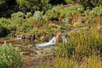 Cascade Springs Area
