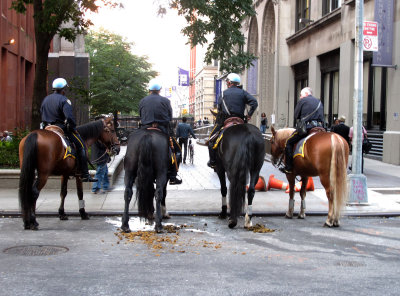 October 8, 2011 Photo Shoot - Occupy Wall Street @ NYU, WSP & Greenwich Village