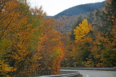 DSC_5645.JPG