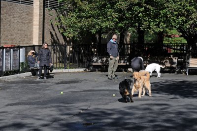 Mercer/Houston Street Dog Run